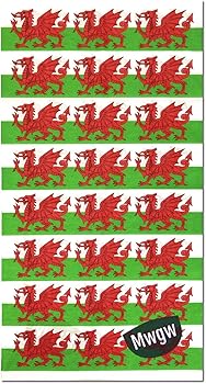 'Welsh Dragon Tubular Bandana' - by MWGW