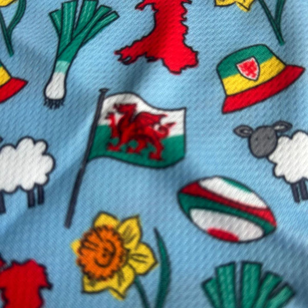 Bandana Ci 'Cwtchie' - Maint Canolog (Glas)