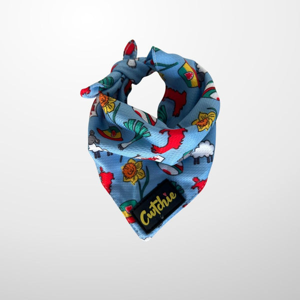Bandana Ci 'Cwtchie' - Maint Canolog (Glas)