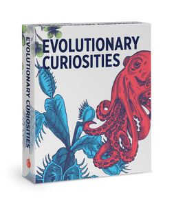 Cardiau gwybodaeth ‘Evolutionary Curiosities’ 