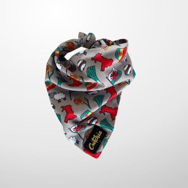 Bandana Ci 'Cwtchie' - Maint Canolog (Llwyd)