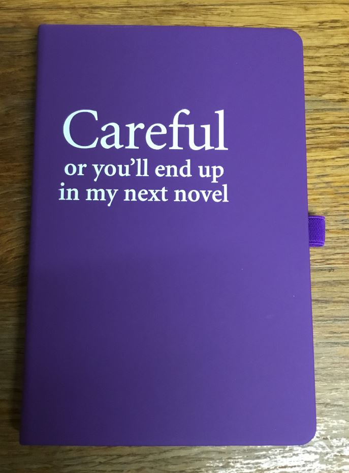 Llyfr Nodiadau - 'Careful or you'll end up in my next novel' (Piws)