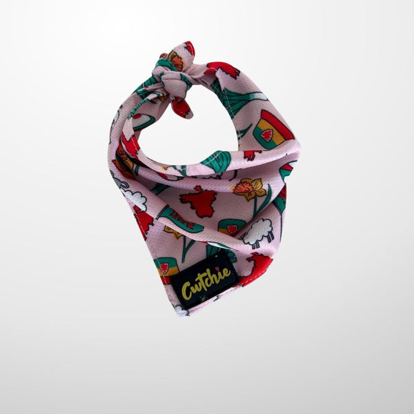 Bandana Ci 'Cwtchie' - Maint Canolog (Pinc)