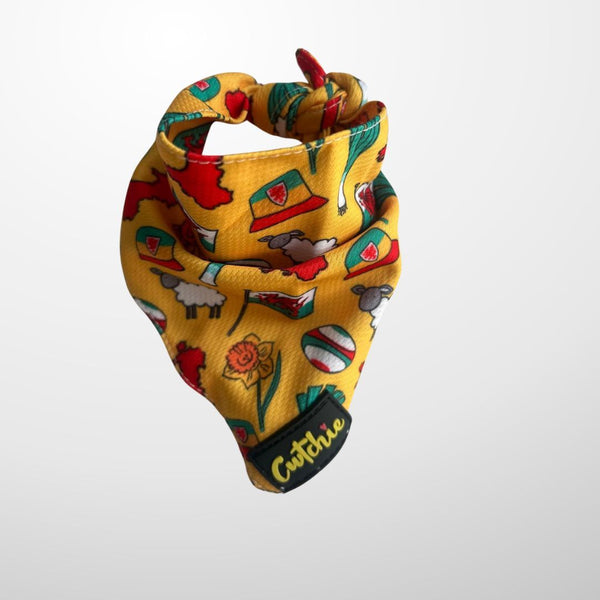 Bandana Ci 'Cwtchie' - Maint Canolog (Melyn)