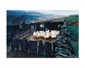 Keith Bowen - Penned Sheep|Keith Bowen - Yn y Gorlan - National Library of Wales Online Shop / Siop Arlein Llyfrgell Genedlaethol Cymru