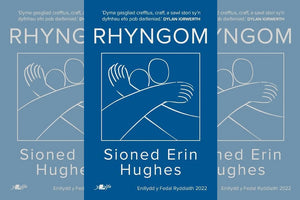 'Rhyngom' gan Sioned Erin Hughes