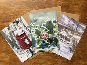 Pack of 6 Christmas cards - 'Winter Scenes'