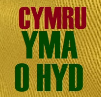 'Cymru Yma o Hyd' Bucket Hat (Child)