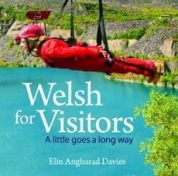 Welsh for Visitors gan Elin Angharad Davies